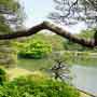 Rikugi-en Garden, Tokyo.