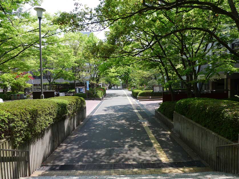 Ritsumeikan University, Kinugasa Campus, Kyoto.