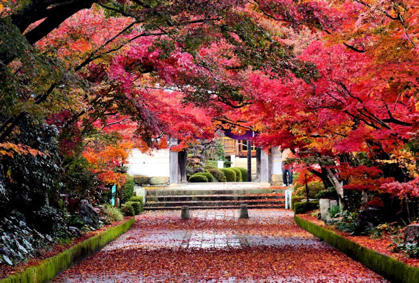 Ryufukuji Temple, Yamaguchi, Yamaguchi Prefecture.