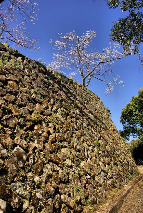 Saiki Castle, Oita Prefecturw, Kyushu.