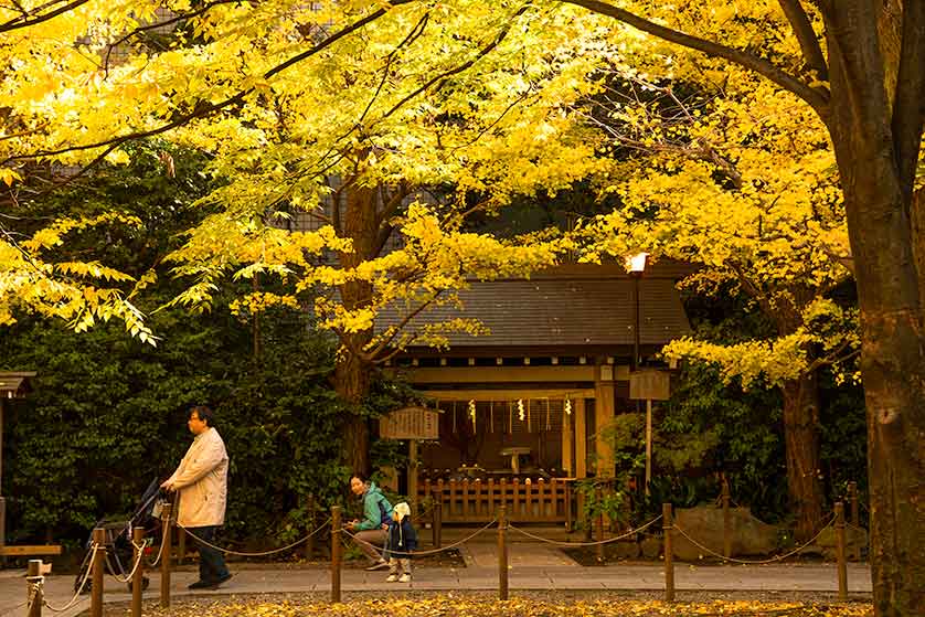 Shinto shrine in fall, Asakusabashi, Tokyo.