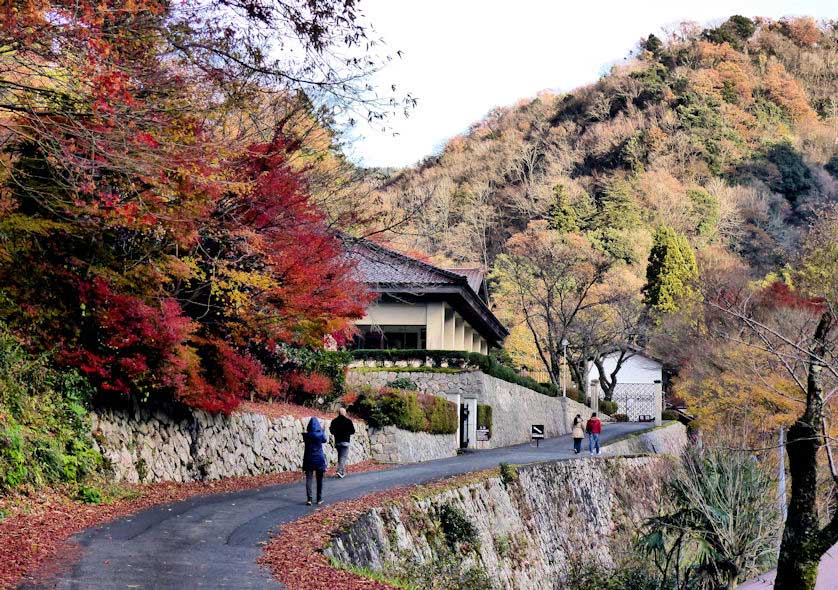 Kabeya Shusei-kan History Museum and Sakurai Family House.