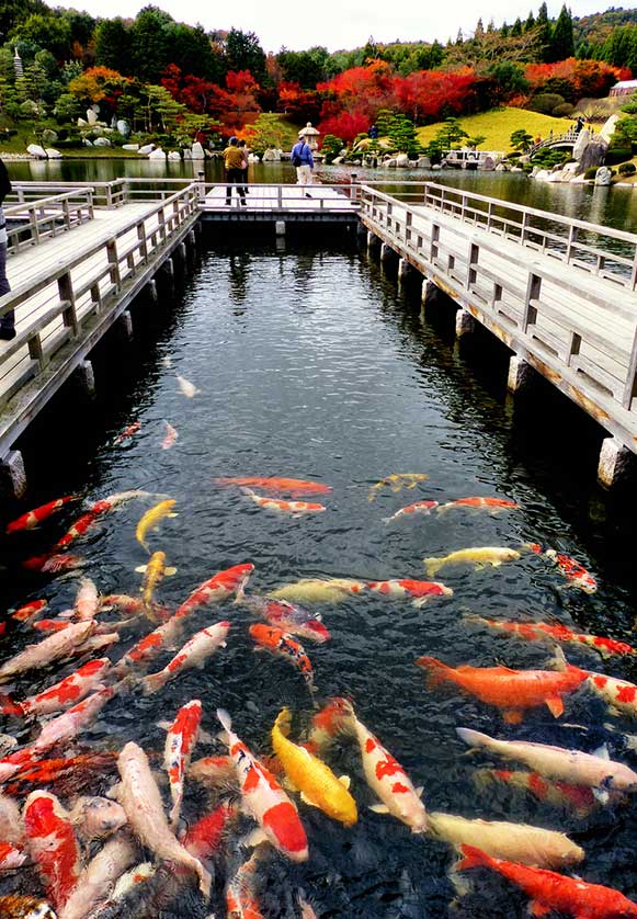 The central pond at Sankei-en, Hiroshima.
