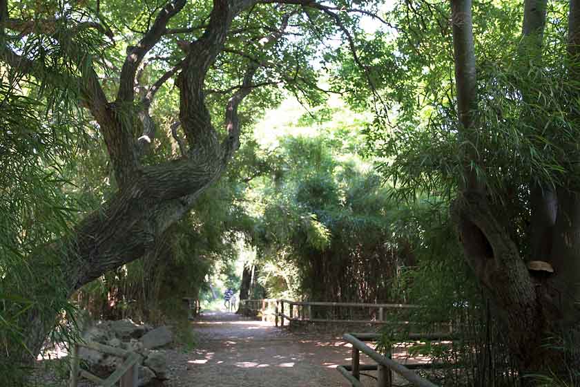 Southern valley of Sankeien Garden, Yokohama, Japan.