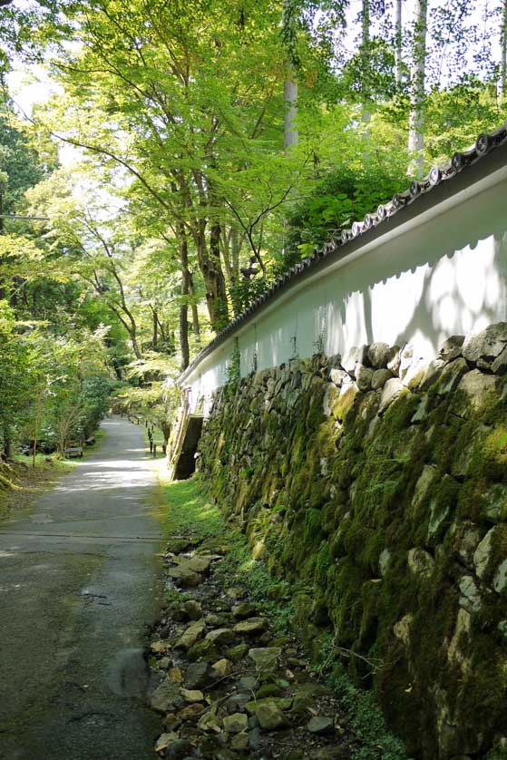 Sanzen-in Temple, Ohara, Kyoto.