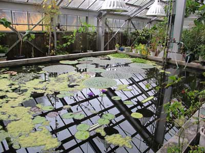 Glasshouses, Hokkaido University Botanical Gardens.