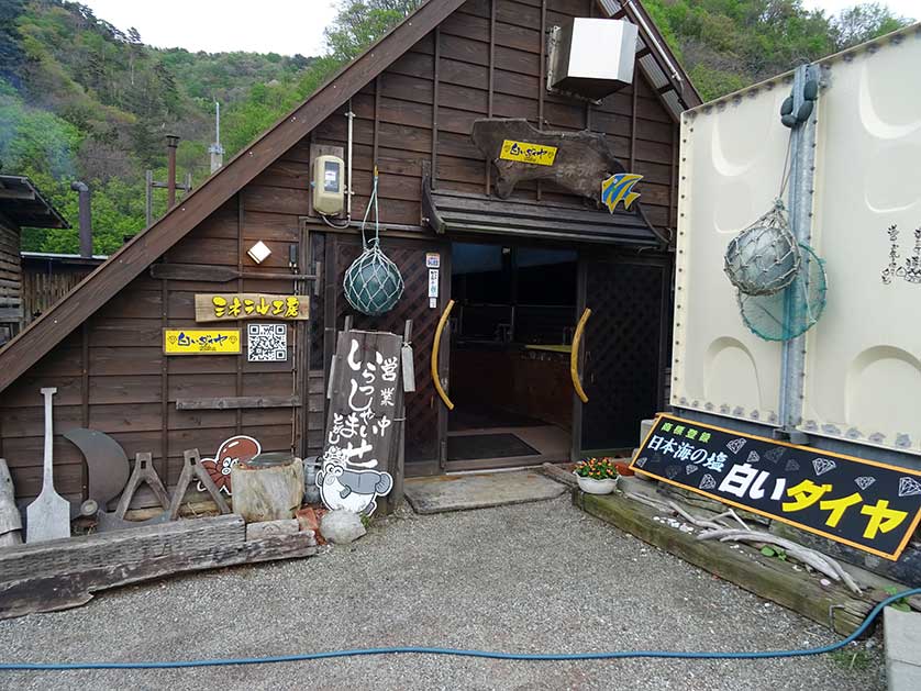 Niigata Salt, Japan.