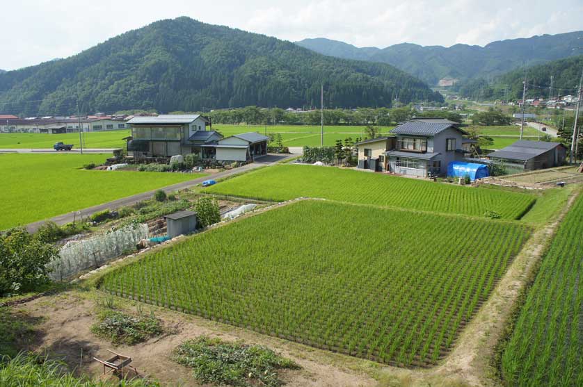 Satoyama, Hida-Furukawa, Gifu Prefecture.