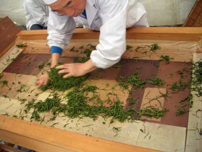 Sayama Tea, Tokorozawa, Japan