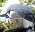 National Museum of Nature and Science, Ueno, Tokyo.