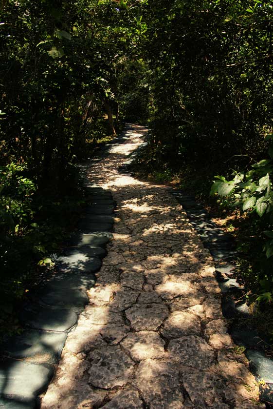 Sefa Utaki sacred site, Okinawa, Japan.