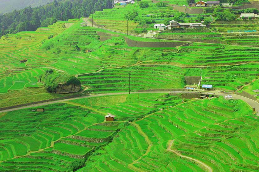 Maruyama Senmaida Rice Terraces, Kumano-shi, Mie Prefecture.