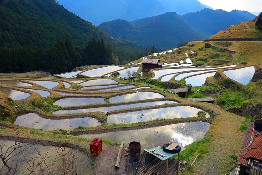 Maruyama Senmaida Rice Terraces, Kumano-shi, Mie Prefecture.