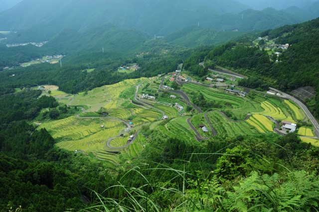 Maruyama Senmaida Rice Terraces, Kumano-shi, Mie Prefecture.