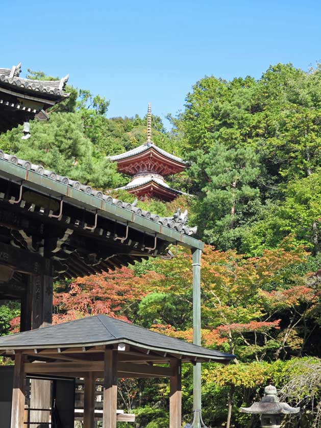 Sennyuji Temple, Kyoto, Japan.