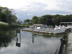 Shakujii Park Boat Pond.