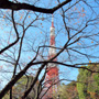 Shiba Park, Tokyo.