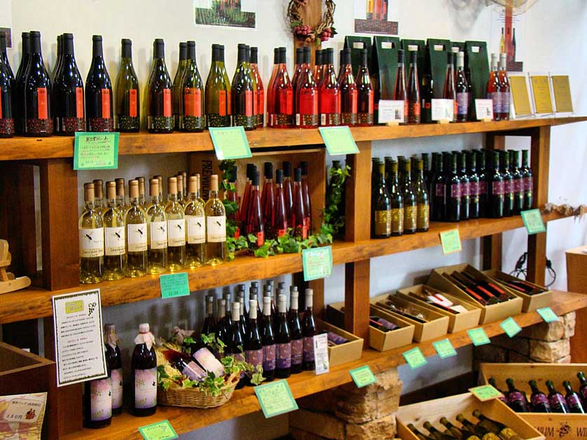 Wine growing in Izumo, Shimane, Japan.