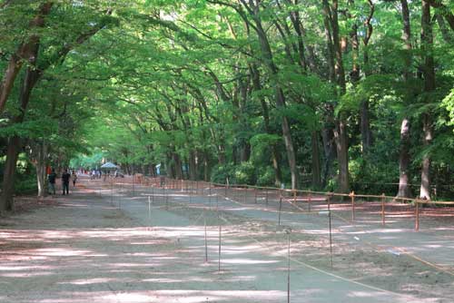 Shimogamo Shrine, Kyoto.