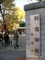 Read more about Shinjuku Gyoen Gardens.