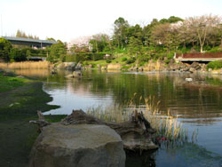 Katsushima no Umi, Shinagawa Kumin Park, Tokyo.