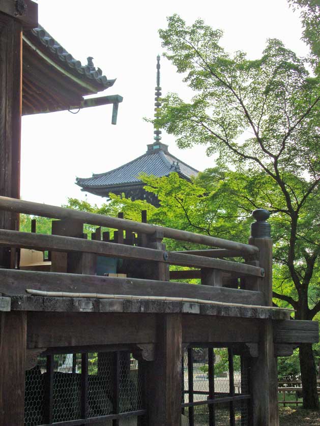 Shinnyodo Temple.