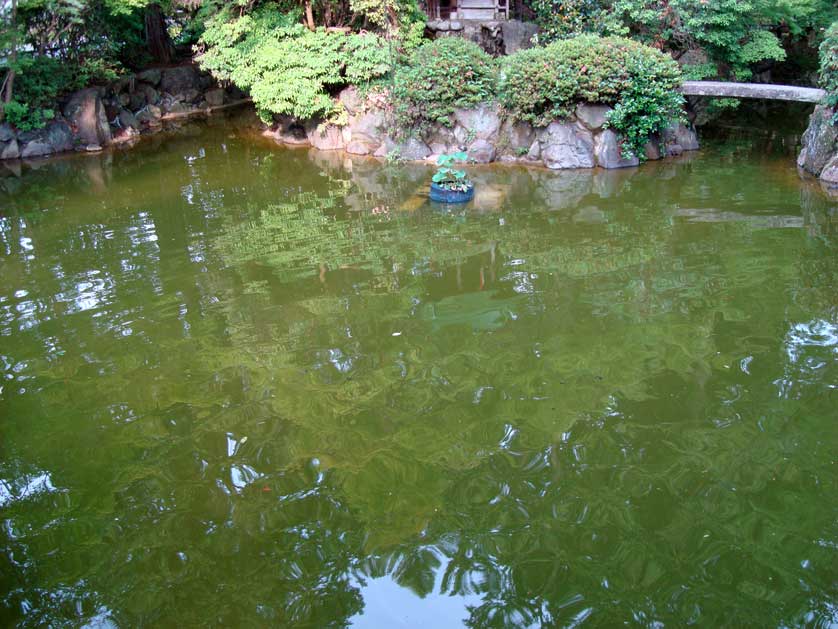 Shinnyodo Temple Pond, Kyoto, Japan.