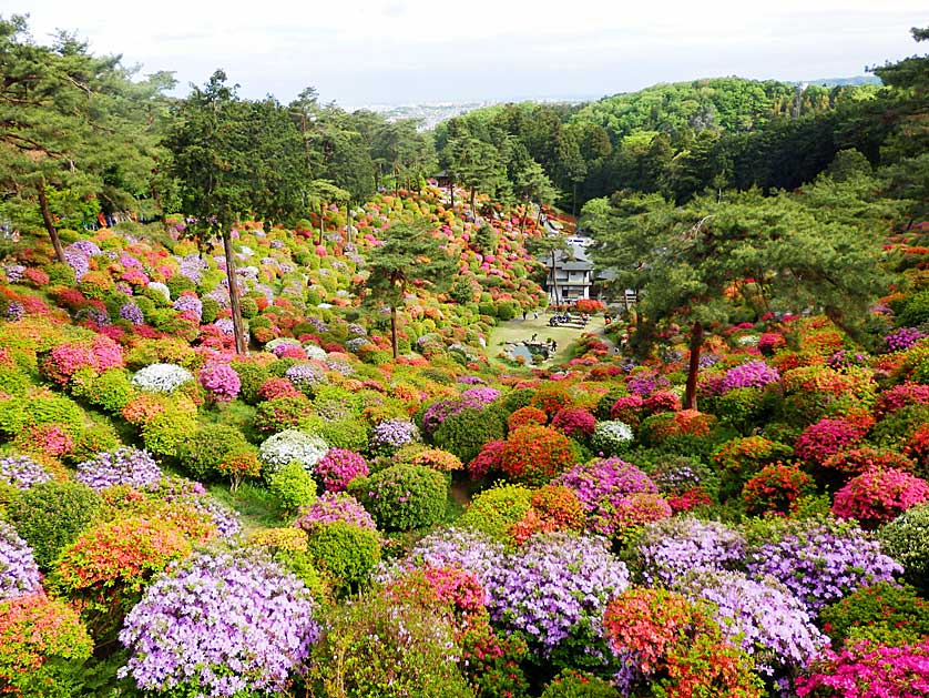 View from the foot of the Kannon Statue.