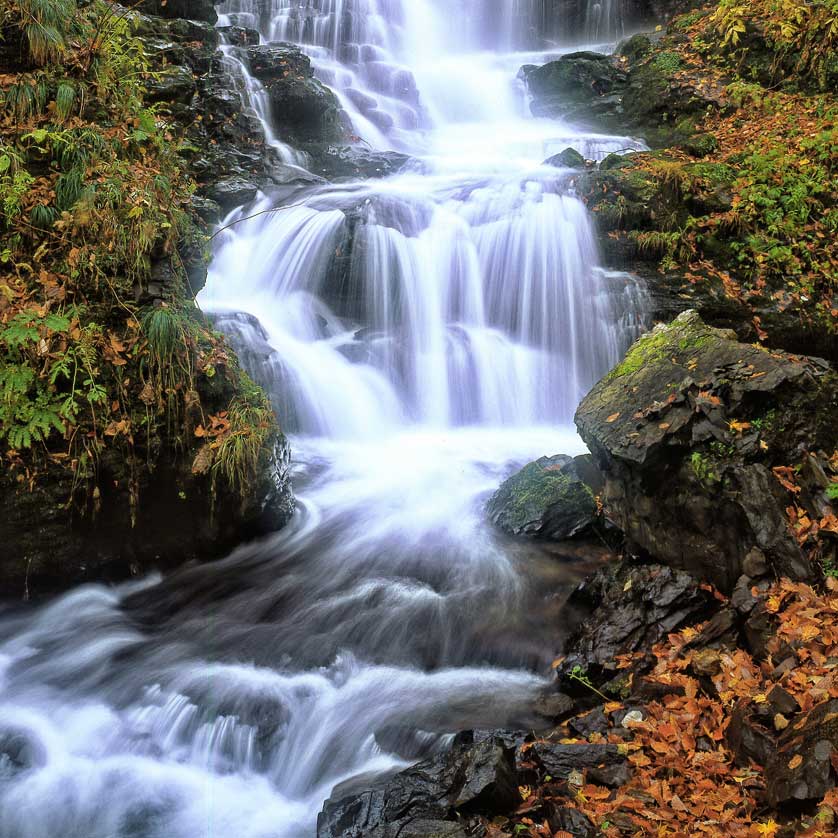 Shirakami-Sanchi waterfall, Akita, Japan.