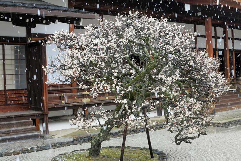 Shogoin Temple, Kyoto, Japan.