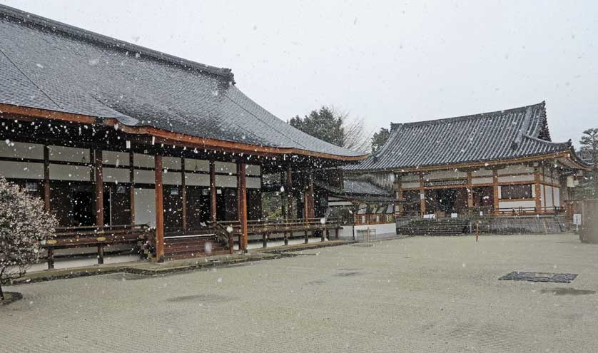 Shogoin Temple, Kyoto, Japan.