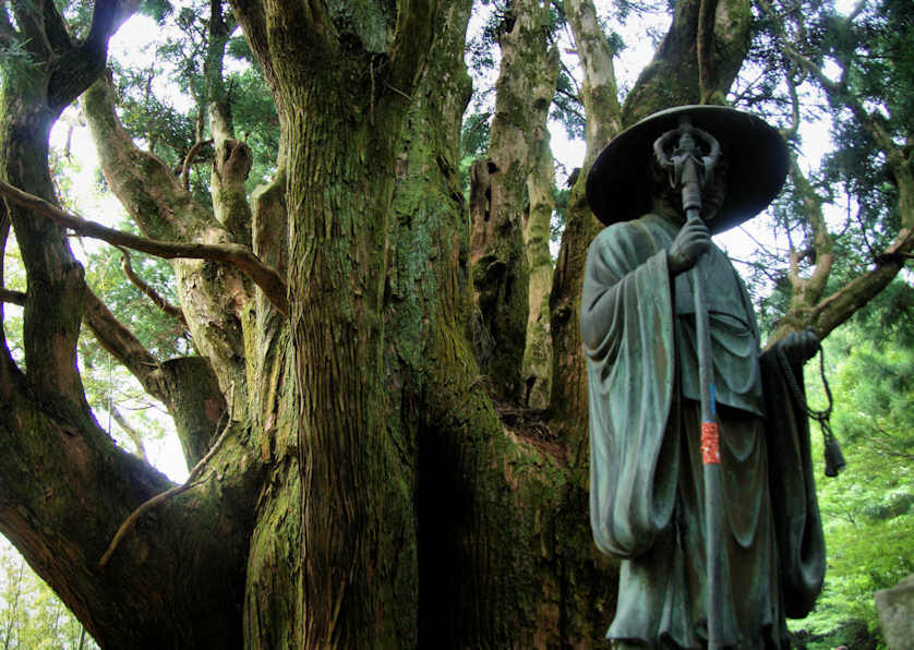 Statue of Kobo Daishi in front of a tree with the name of Ippon Sugi, getting close to the top of the mountain, Shikoku.