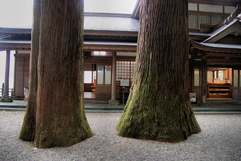 A pair of ancient trees flank the entrance to the temple office at Shosanji Temple.