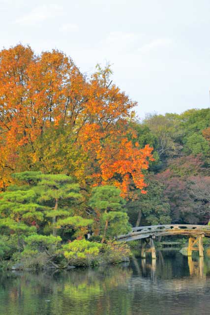 Bridge, Shoseien Garden, Kyoto.