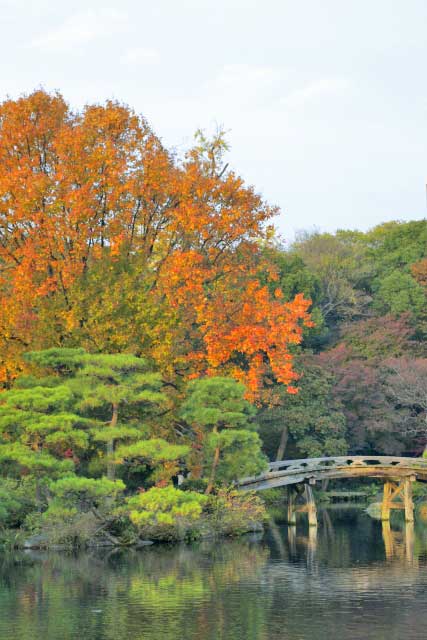 Bridge, Shoseien Garden, Kyoto.