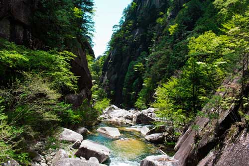 Shosenkyo Gorge, Japan.