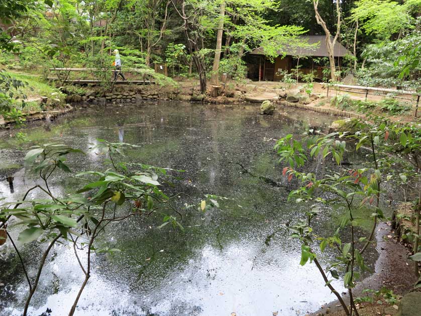 Showa Museum of Art, Nagoya, Aichi.