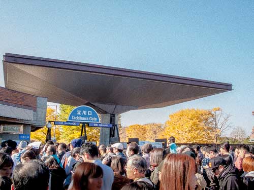 Queuing at the Tachikawa Gate, Showa Memorial Park.