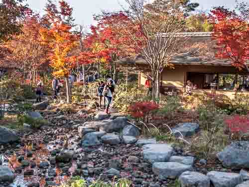 Japanese Garden, Showa Kinen Park, Japan.