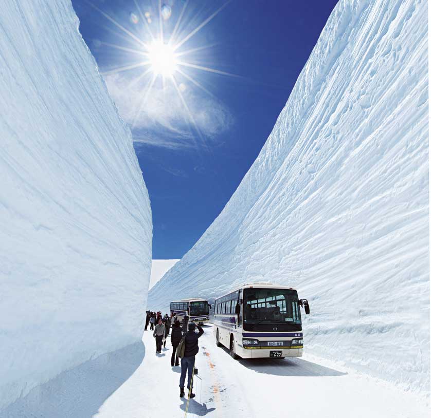 Tateyama Highland Bus Passing Snow Valley.