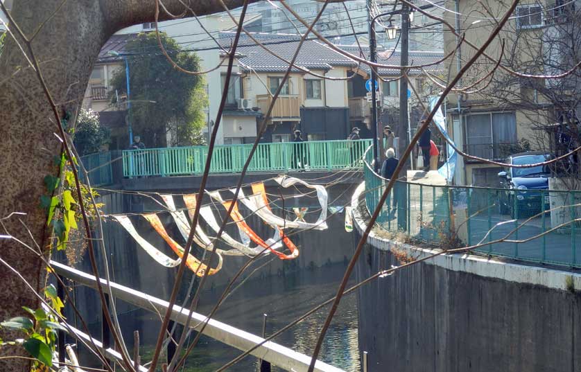 Some no Komichi Traditional Fabric Dyeing Festival.