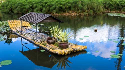 Southeast Botanical Gardens, Okinawa, Japan.