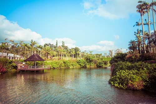 Southeast Botanical Gardens, Okinawa, Japan.