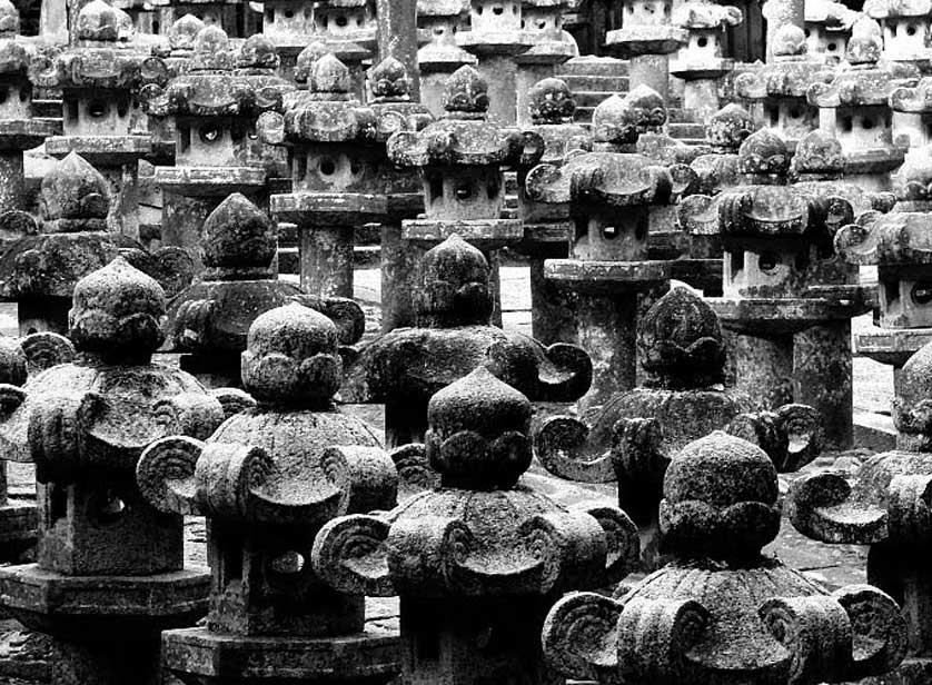 Japanese stone lanterns at Daishoin, Hagi.