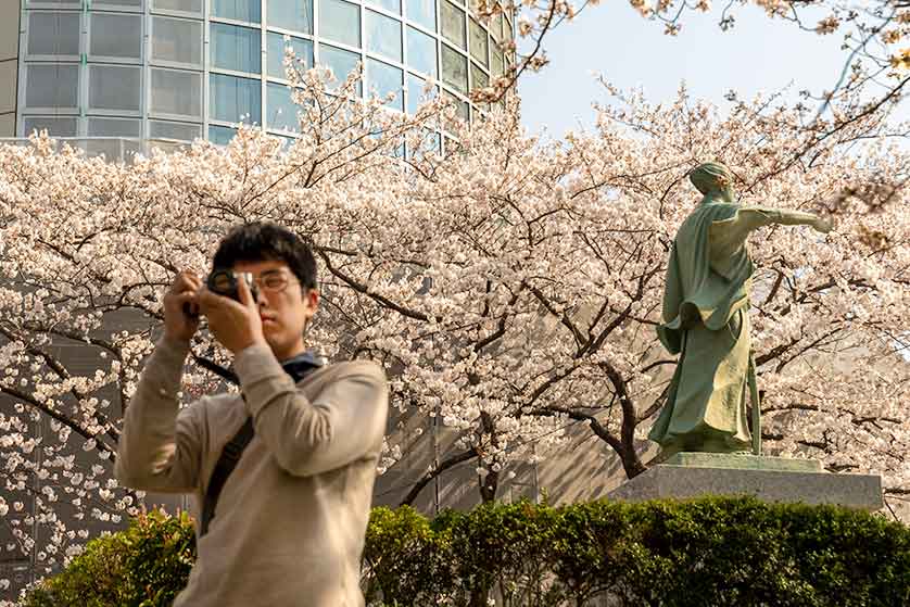 Photographing sakura in Sumida ward, Tokyo.