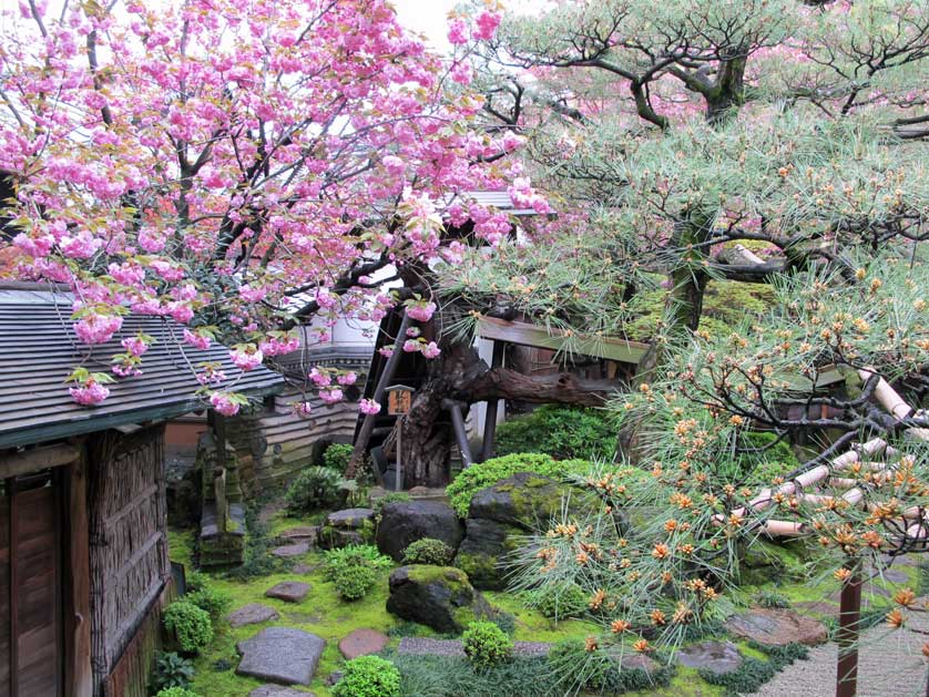 Sumiya Motenashi Art Museum garden