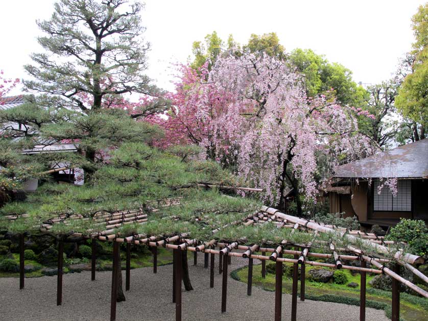 The lovely garden at Sumiya, Kyoto