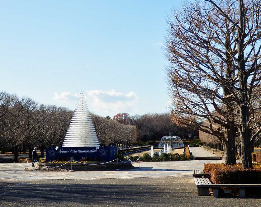 Showa Kinen Park, Tachikawa, Tokyo.