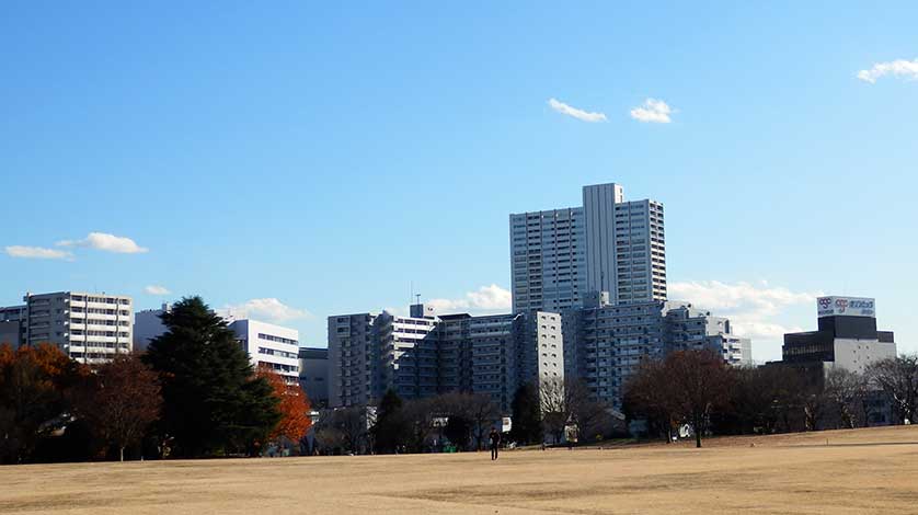 Downtown Tachikawa seen from Showa Kinen Park.
