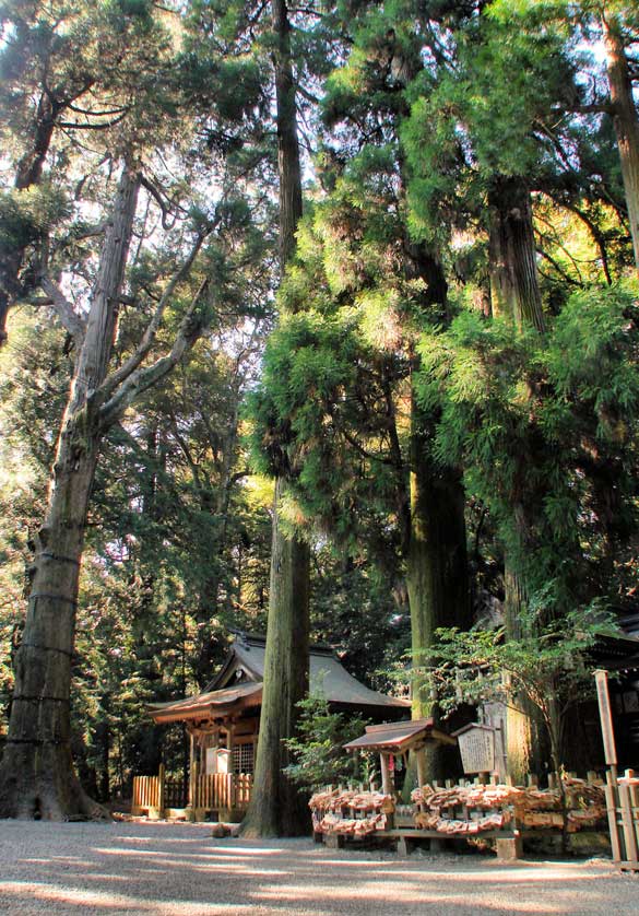 Takachiho Shrine, Miyazaki.